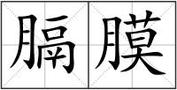 膈膜