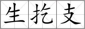 生扢支