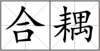 合耦