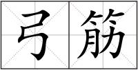 弓筋