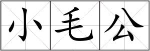 小毛公