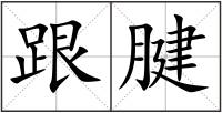 跟腱