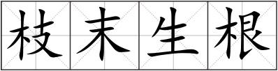 枝末生根