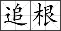 追根