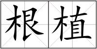 根植