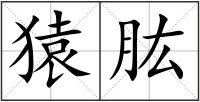 猿肱