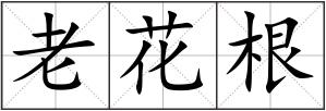 老花根