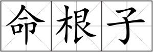 命根子