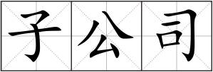 子公司