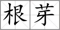 根芽