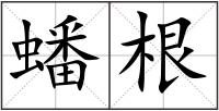 蟠根