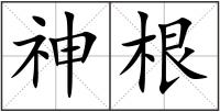 神根
