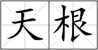 天根