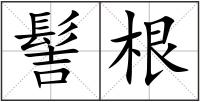 髻根