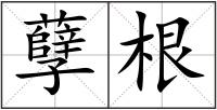 孽根