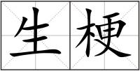 生梗