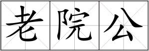 老院公
