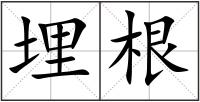 埋根