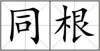 同根
