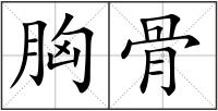 胸骨