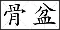骨盆