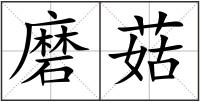 磨菇