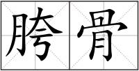 胯骨