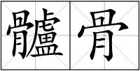 髗骨