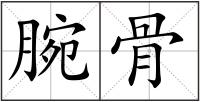 腕骨