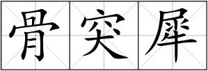 骨突犀