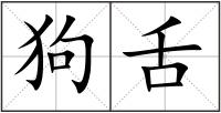 狗舌