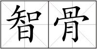 智骨