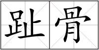 趾骨