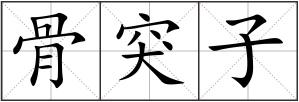 骨突子