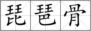 琵琶骨