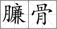 臁骨