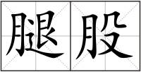 腿股
