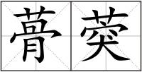 蓇葖