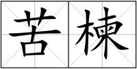 苦楝