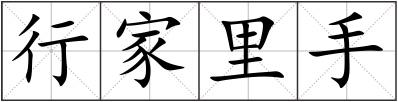 行家里手
