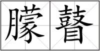 朦瞽