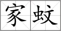 家蚊