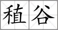 稙谷