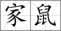 家鼠