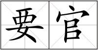 要官