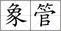 象管