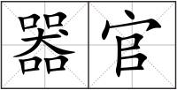 器官