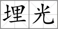 埋光