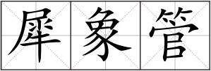 犀象管