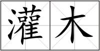 灌木